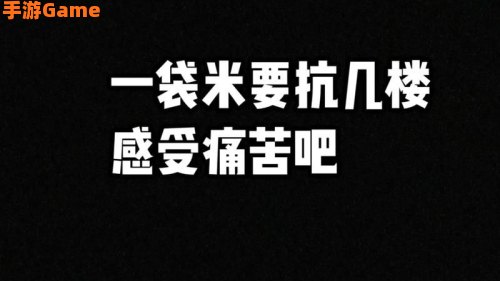 一袋米要抗几楼