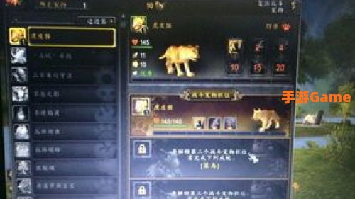 战斗宠物训练